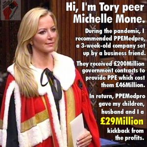 A picture of Michelle Mone in the House of Lords, captioned with a summary of what she did during the pandemic.